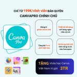 Nâng cấp Tài Khoản Canva Pro- 100 Thành Viên – Gia hạn Chính Chủ