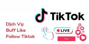 Dịch Vụ Buff Like Follow Tiktok Dịch Vụ Buff Like Follow TikTok