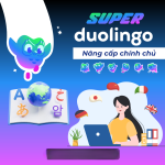Tài Khoản Duolingo Super, Nâng Cấp Chính Chủ Giá Rẻ