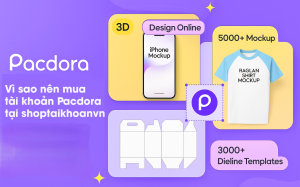 Tài khoản Pacdora Pro 1 tháng