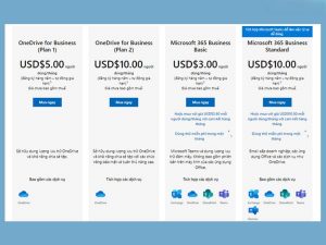 onedrive la gi goi 2 viendidong