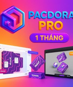 Tài khoản Pacdora Pro 1 tháng