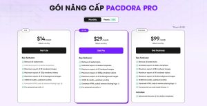 Tài khoản Pacdora Pro 1 tháng