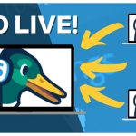 Tài Khoản Streamyard Basic