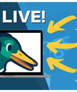 Tài Khoản Streamyard Basic