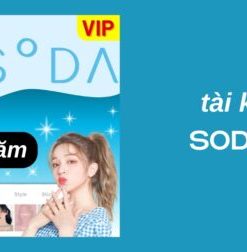 Tài khoản Soda VIP 2 Năm