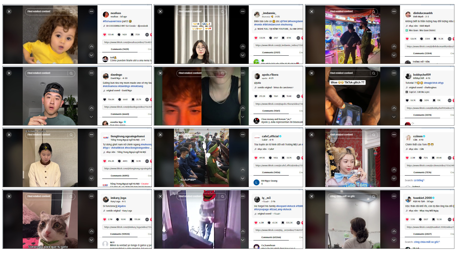 Phần mềm MaxTikTok